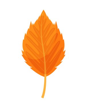 Sonbahar turuncu yaprak beyaz bir arka plan üzerinde izole. Vektör hüseyin