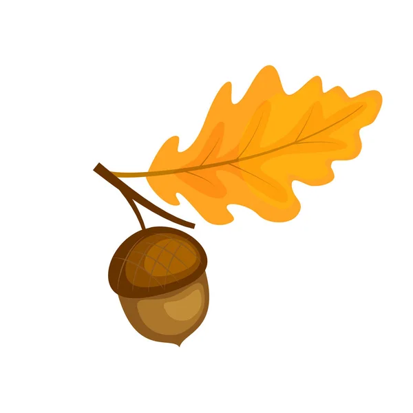 Farverig egetræsbrunch med blad og agern. Vektorillustrationsisol – Stock-vektor