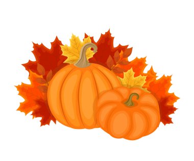 Sonbahar yaprakları ve kabaklar sonbahar tasarımı. Vektör illustrati