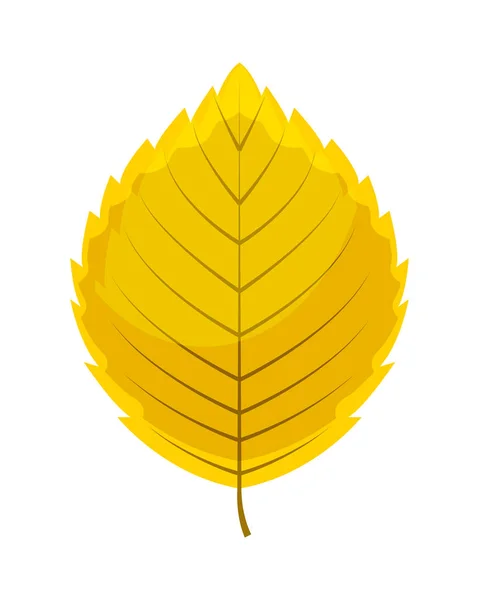 Hoja naranja de otoño aislada sobre un fondo blanco. Vector illu — Vector de stock