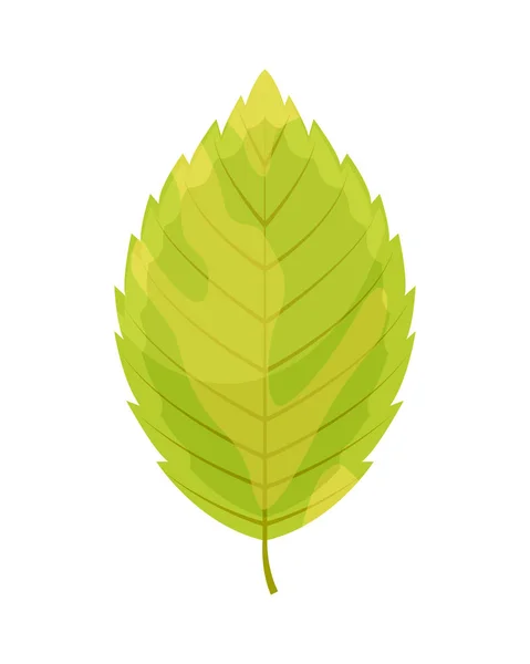 Hoja naranja de otoño aislada sobre un fondo blanco. Vector illu — Vector de stock