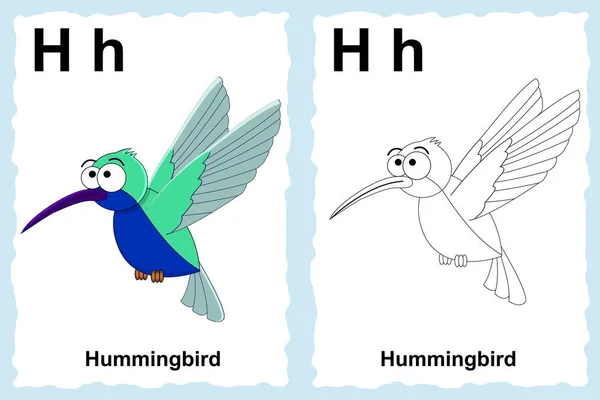 Alphabet coloring book page with outline clip art to color. Letter H. Hummingbird. — Stock Vector