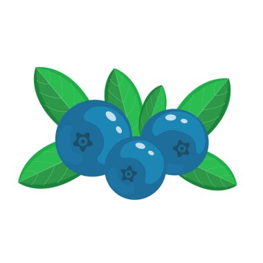 Yaban mersini vektör illüstrasyon izole beyaz arka plan üzerinde. 