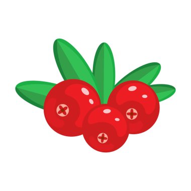 Beyaz arka plan üzerinde izole kızılcık vektör çizim.