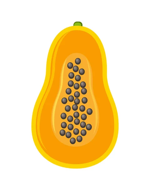 Media parte de la ilustración vectorial de papaya aislada en blanco — Vector de stock