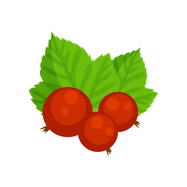 Red currant vector illustration isolated on white background. Gs — Stock Vector