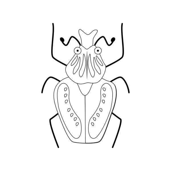 Niedlichen Cartoon Käfer Vektor Illustration isoliert auf weißem Hintergrund. — Stockvektor
