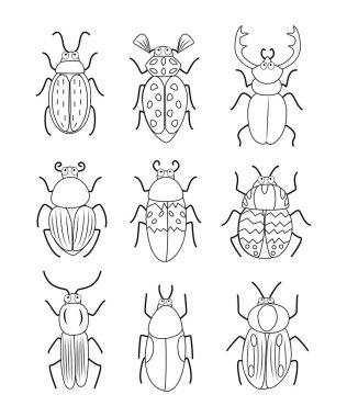 Büyük handdrawn ayarla doodle böcekleri illüstrasyon izole beyaz arka plan üzerinde vektör. Siyah ve beyaz böcekler
