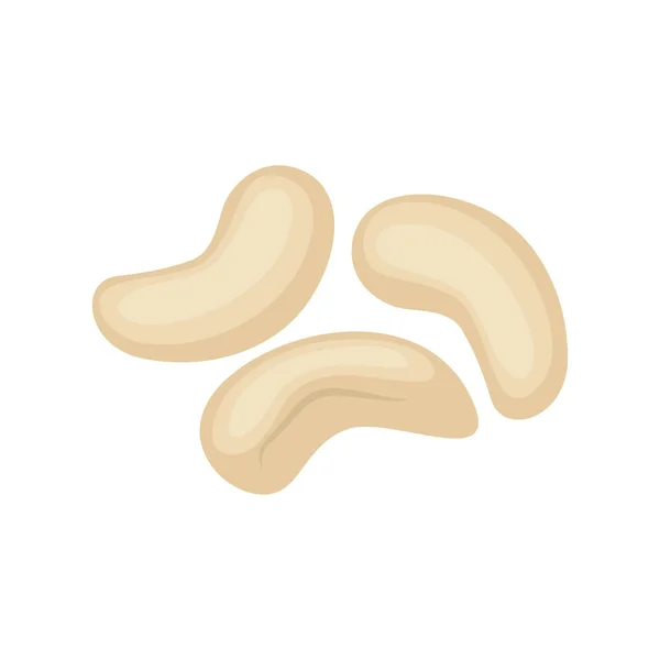 Векторная иллюстрация орехов кешью на белом фоне . — стоковый вектор