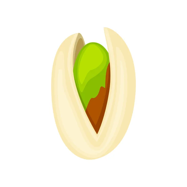 Illustration vectorielle de noix de pistache isolée sur fond blanc. Vecteur d'écrou — Image vectorielle