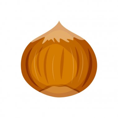 Fındık vektör illüstrasyon beyaz arka plan üzerinde izole. Fındık illüstrasyon