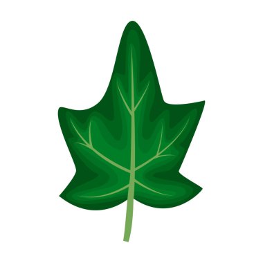 Beyaz arkaplanda izole edilmiş bir çizgi filmde yeşil sarmaşık yaprağı.