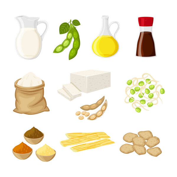 Set of different soy product in a flat cartoon style milk, oil, soy sauce, flour, tofu, miso, meat, tofu skin, sprouts vector 