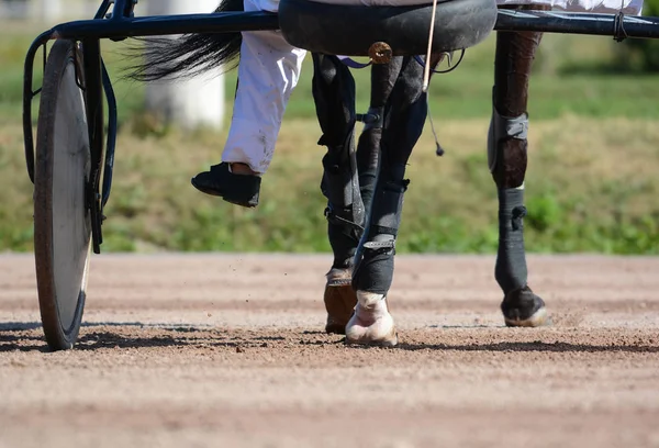 Benen Van Een Paard Bruin Trotter Paard Harnas Harnas Paardenrennen — Stockfoto