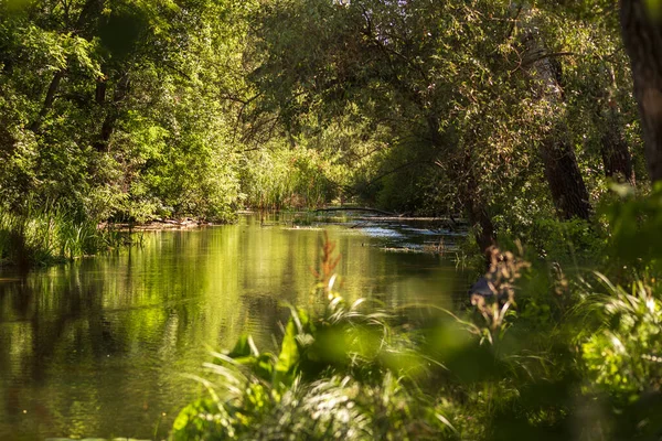 Çiçekler ve Vahşi Yaşamla Sonbahar Gölü