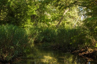 Yaz aylarında nehir