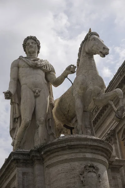 Rome Italie Capitole Statue Pollux Avec Cheval Statue Marbre Sur — Photo