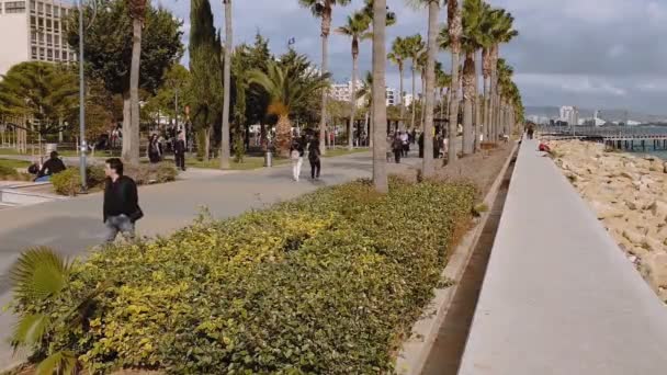 利马索尔 塞浦路斯 2018年12月2日 海岸线长廊日的看法 Lemessos 城市区 Molos 大道的步行区 有现代化的建筑和棕榈树 — 图库视频影像