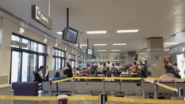 Luqa Malta Agosto 2016 Aeropuerto Internacional Malta Puertas Mla Con — Vídeos de Stock