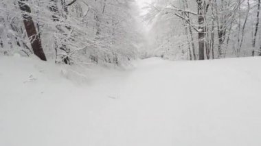 Kar yağdı orman alanı eylem kameraya Pov perspektif kayak. Vigla - Pisoderi, Yunanistan Kayak tesisi alanı, ağaçlar ve dalları karla kaplı olan bir yol, yönünü değiştirmek için sığ kullanarak kayakçı döner.