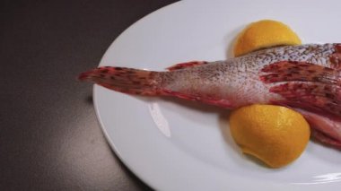 Taze bütün iskorpit atış kaydırma kaymak yemek için hazır. Üstten görünüm tarafında dilimlenmiş limon ile beyaz bir tabak üzerinde taze deniz ürünleri kadar yakın.