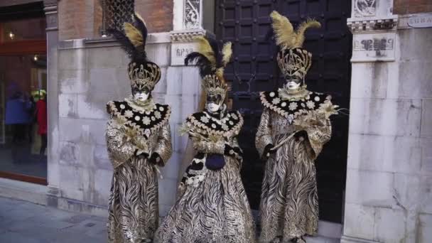 Venise Italie Février 2019 Masque Carnaval Poses Costumes Campo San — Video