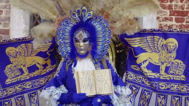 Venise Italie Février 2019 Masque Carnaval Pose Costume Avec Armoiries — Video