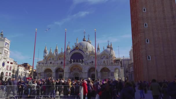 Venecia Italia Febrero 2019 Plaza San Marcos Con Multitud Ante — Vídeos de Stock