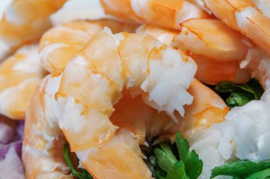  Ham taze karidesler karides deniz ürünleri kapatmak.