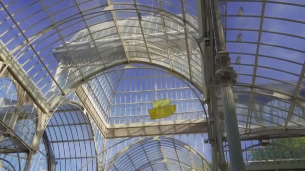 西班牙马德里 2017年7月20日 克里蒂罗帕拉西奥 德克里斯特尔公园内部有人群 1887年水晶宫 由玻璃制成 在布恩雷蒂罗公园的铁框架内免费进入 — 图库视频影像
