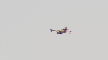 Sarı Canadair su-bombardıman mavi gökyüzüne karşı uçan düşük açı görünümü. Halkidiki Yarımadası 'nda yangın söndürücü bir Yunan amfitoza itfaiye Canadair uçuşları.