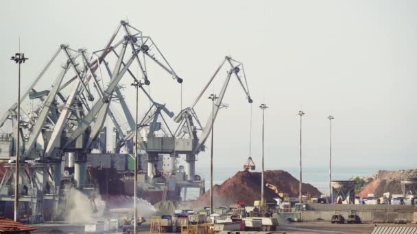 Grote Gemotoriseerde Kranen Zeehaven Lossen Lading Van Schepen Verhoogde Weergave — Stockvideo