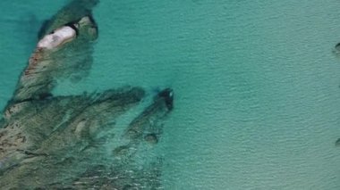 Akdeniz 'in insansız hava araçları Kavourotripes plajında yüzücülerle çekim yapıyor. Sithonia Chalkidiki yarımadası kayalık kıyı şeridinden kristal berrak sulara şemsiyeli deniz yataklarına kadar gökyüzü manzaralı tava.