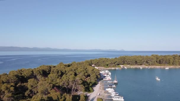 ドローンは 穏やかな海につながる カイク漁船の上を飛んでいます Kassandra Chalkidiki半島の海岸線でのGlarokavosラグーンの空中トップビュー緑のプランテーション — ストック動画