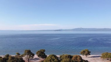 İHA uçuşu Yunanistan 'da sakin denizle sahile paralel çekim yaptı. Kassandra Chalkidiki yarımadasının kıyı şeridinin yukarıdan görünüşü ve kıyı şeridine kadar uzanan yeşil ağaç plantasyonu..