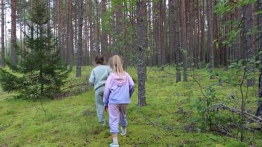 Çocuklu bir aile çam ormanında mantar arıyor. Yüksek kalite 4k görüntü