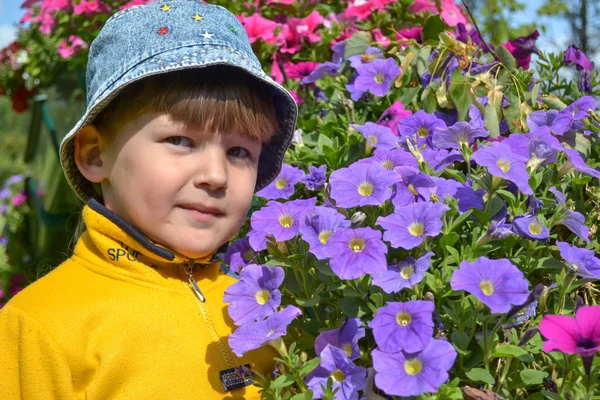 Little Boy Sniffing Flowers Flower Bed City Park — Stock Photo, Image