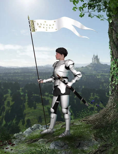 Portrait Joan Arc Jeanne Arc Full Armor Watching French Landscape — Stock Photo, Image