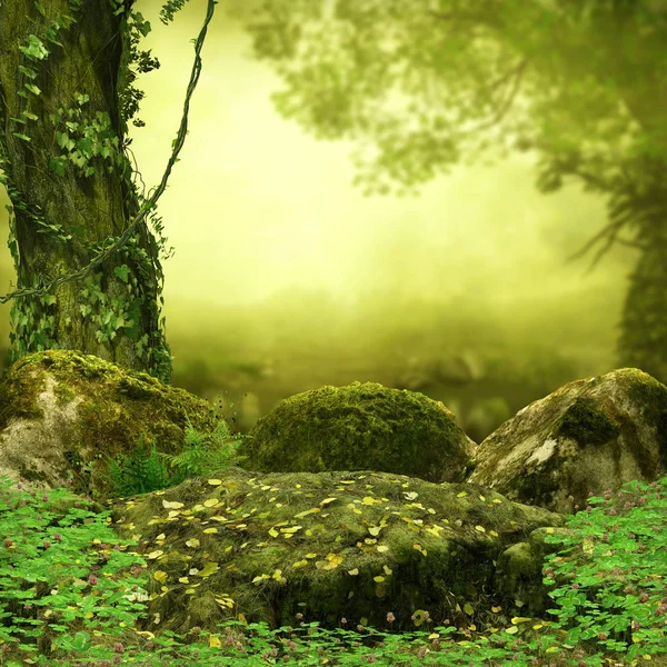 Magical Fairy Tale Forest Opening — Stock Photo, Image