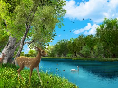Güzel El Değmemiş Hayvan Doğa Paradies Eden