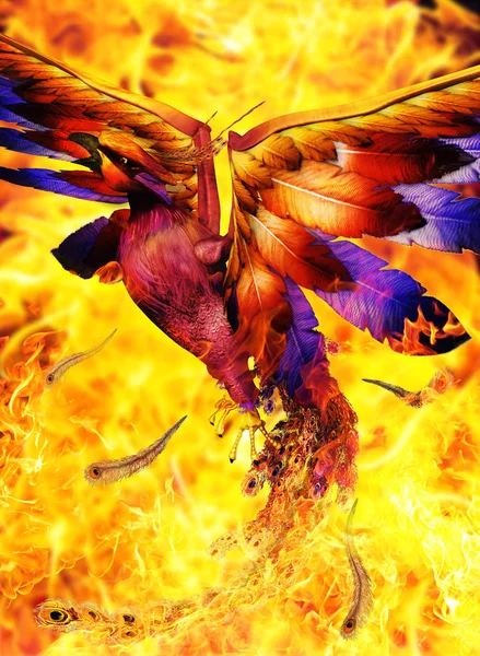 火から立ち上がるフェニックスの鳥 — ストック写真