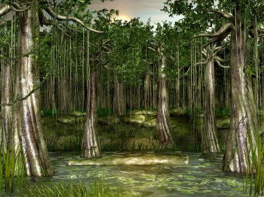 Swamp - forested wetland view clipart