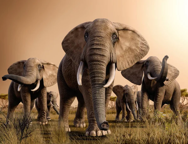 Hermoso Paisaje Una Manada Majestuosos Elefantes Africanos Sabana Atardecer Render — Foto de Stock