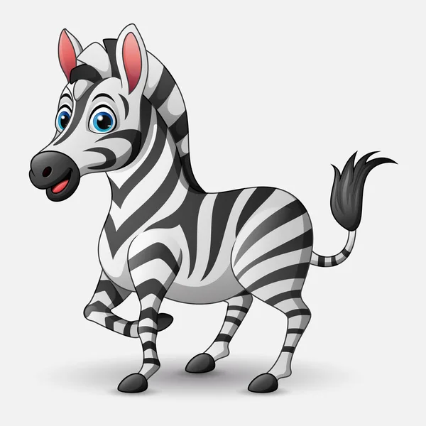 Cute Cartoon Zebra White Background — Stock Vector