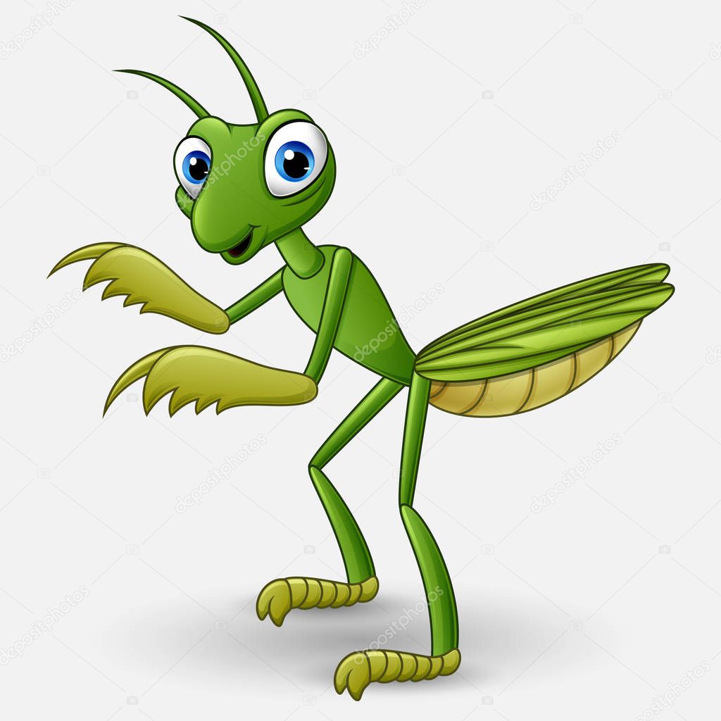 Cute cartoon mantis on white background
