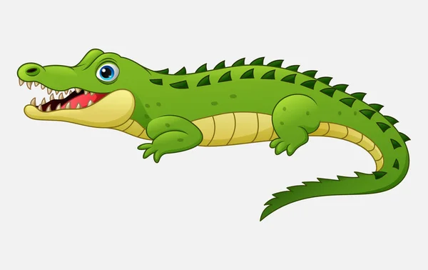 Crocodilo Dos Desenhos Animados Isolado Fundo Branco — Vetor de Stock