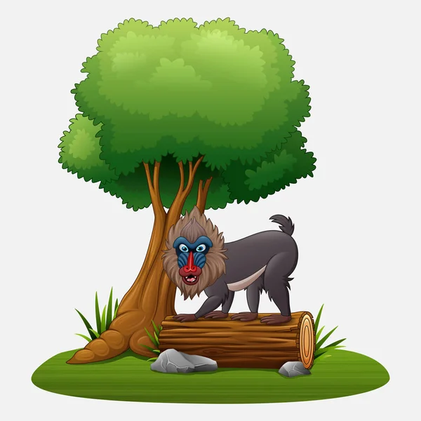 Mandrill Babuino Dibujos Animados Bajo Árbol — Vector de stock