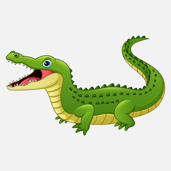 Crocodilo Dos Desenhos Animados Isolado Fundo Branco —  Vetores de Stock