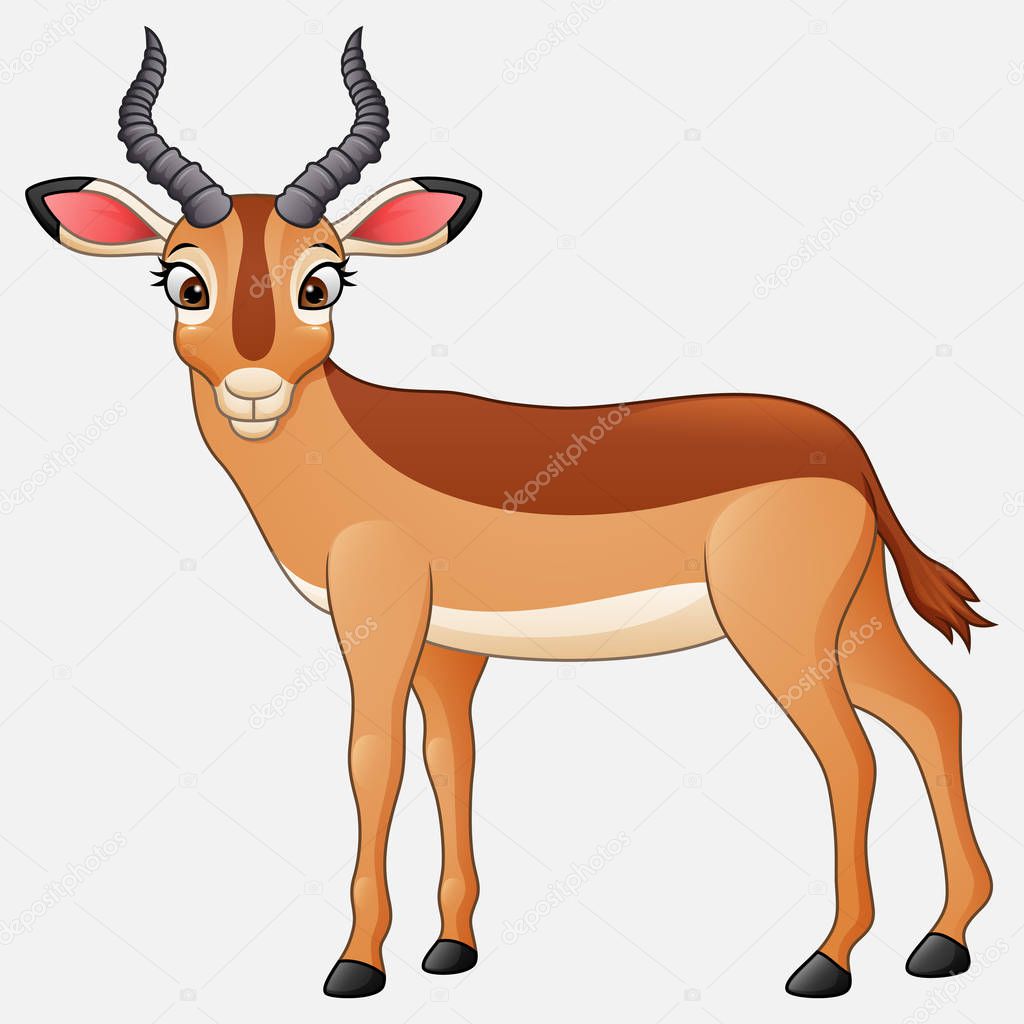 Cartoon impala isolated on white background