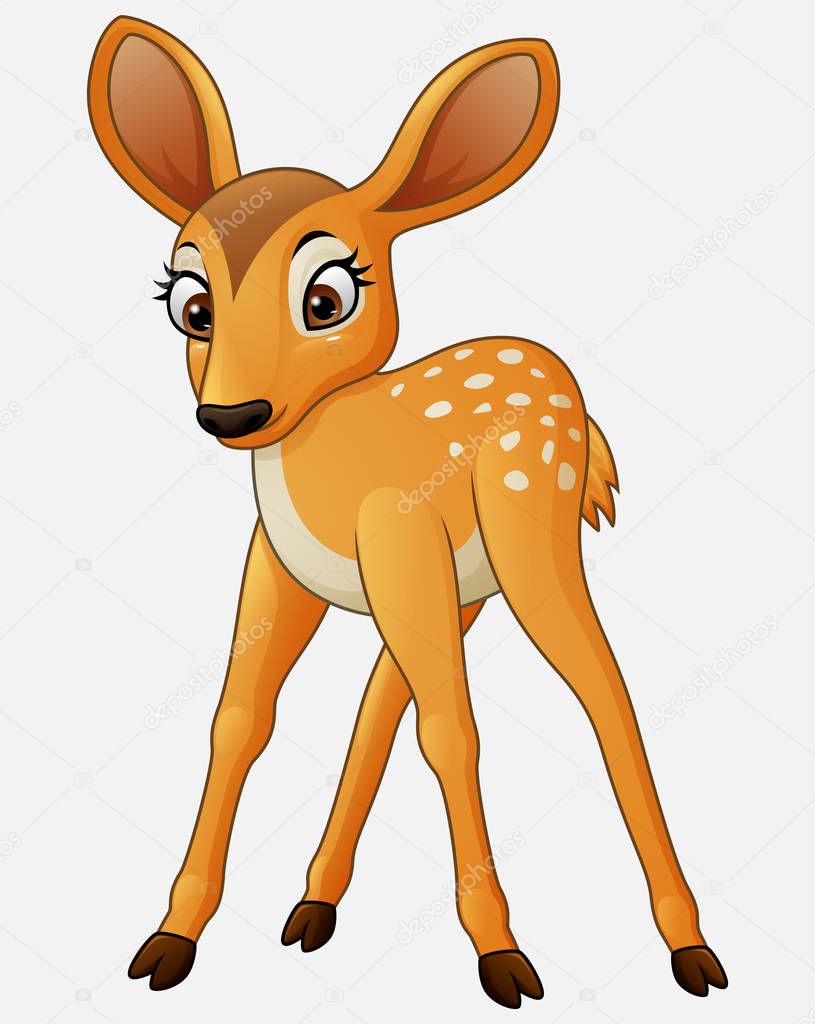 Cute deer cartoon on on white background